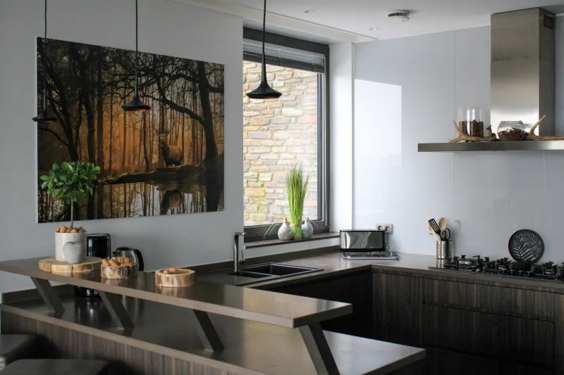 The kitchen with an induction hob and a wide stone counter